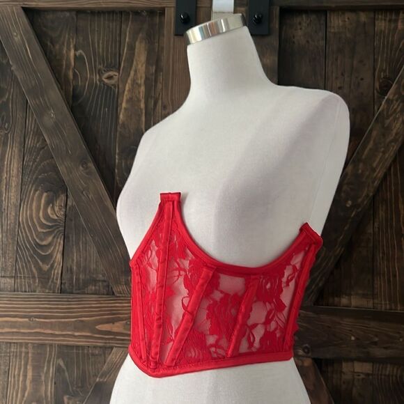 NWT Daisy corsets Lavish Red Sheer Lace Underwire Waist Cincher Corset - Picture 6 of 15